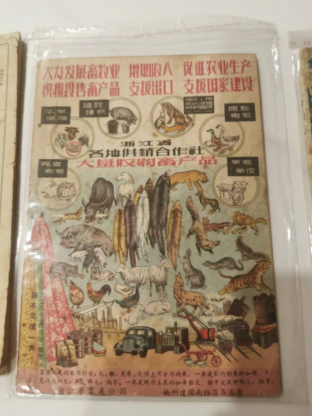 241.【麦稀奇世界钱币展★鲸贝乐淘★两拍包邮】三字经·第“融四岁，能让梨”号拍卖