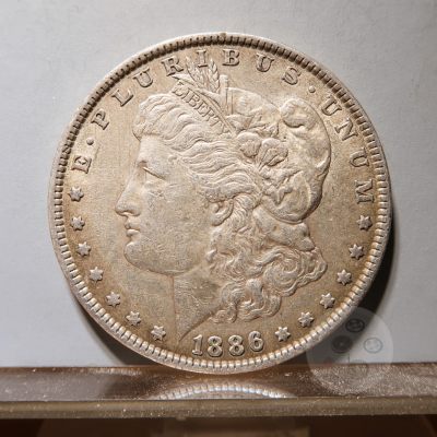 1886年美国摩根银元 - 1886年美国摩根银元