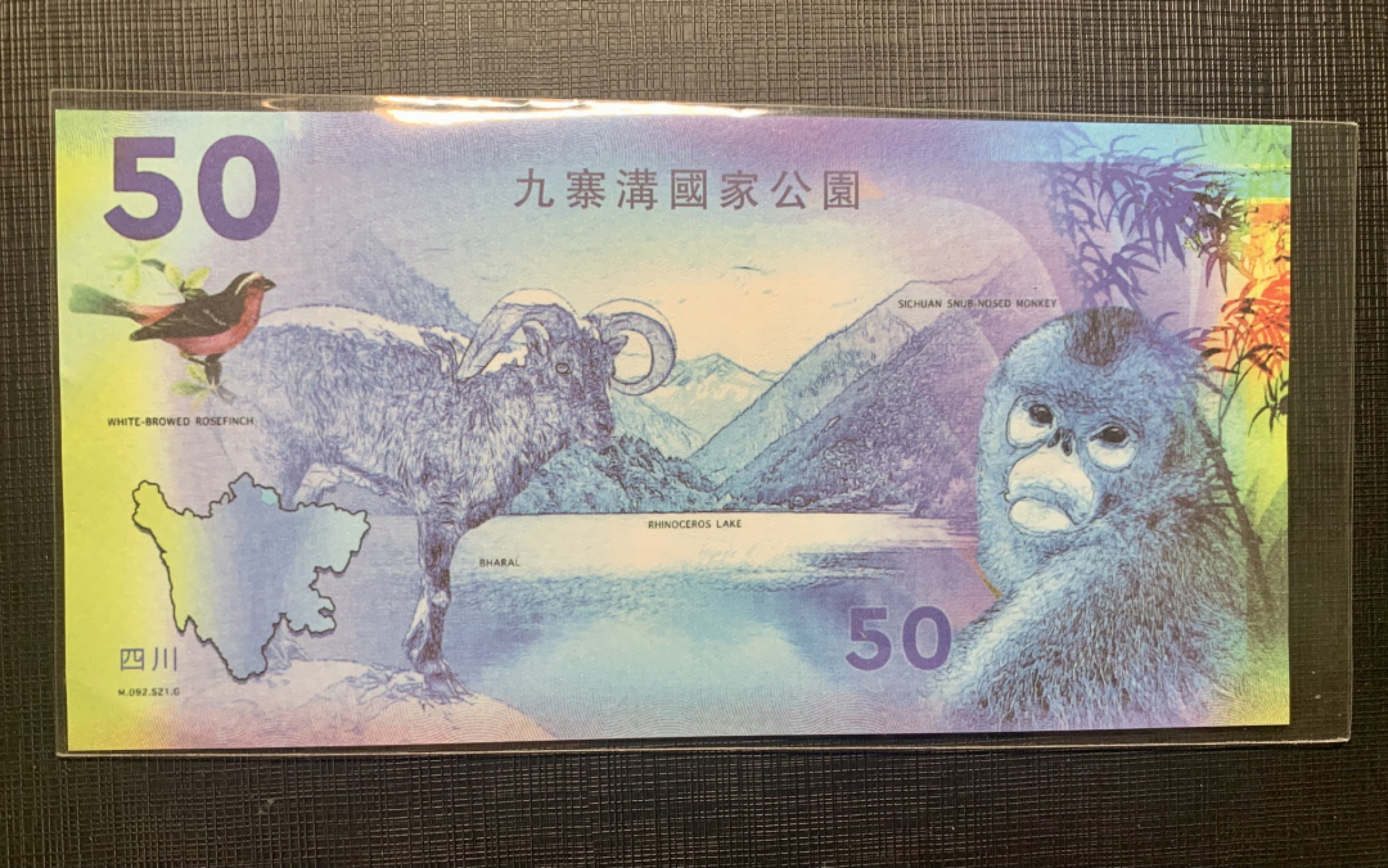 北极狼藏苑社一一（人民币、港币放漏福利专场） 四川九寨沟国家公园测试券国宝大熊猫纪念票券 