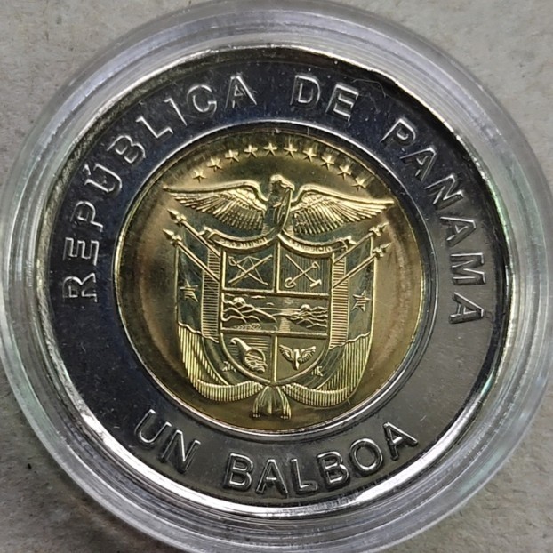 6月17晚8★机器委托10秒自动落锤★请提前出好价★满30快递包邮