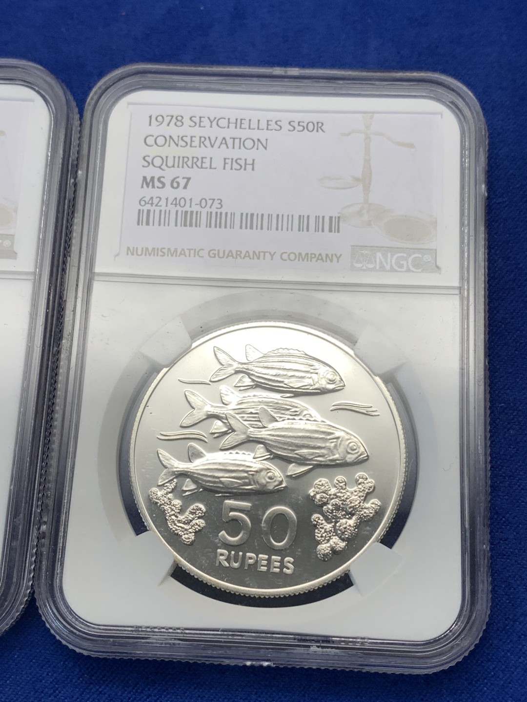 《竞宝斋》第173场-周日，周一2场 (全场包邮) 两枚一组 NGC  MS67 塞舌尔 1978年 保护动物 海洋渔类 50 100卢比 纪念银币 各一枚