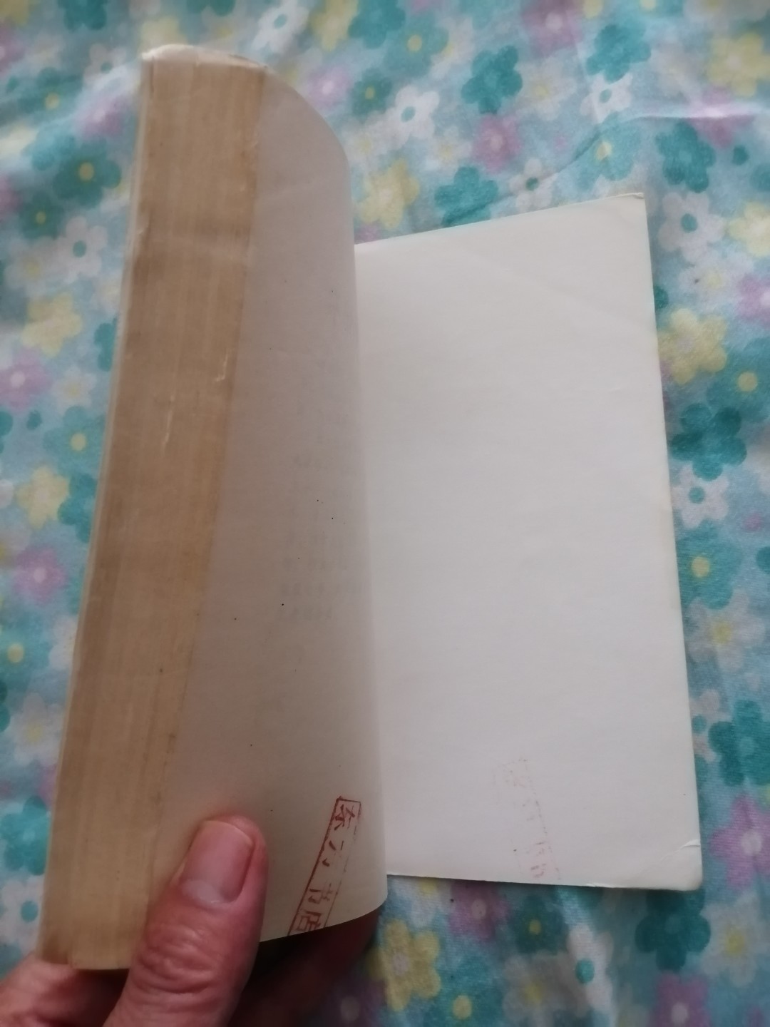 《少林实用防身醉拳》