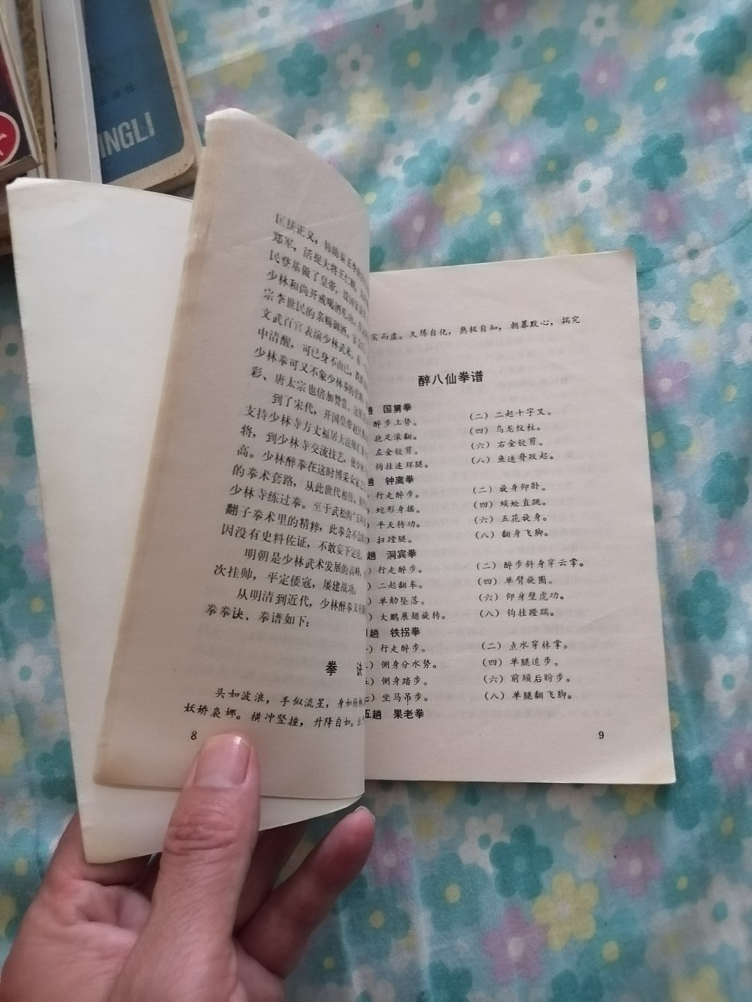 《少林实用防身醉拳》