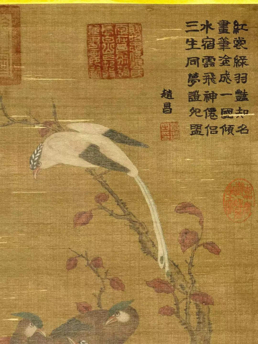 赵昌，生于970-1040年，字昌之，北宋画家，广汉剑南（今四川剑阁之南）人。在北宋时期与宋徽宗赵佶齐名，是宋代花鸟画坛的杰出画家。