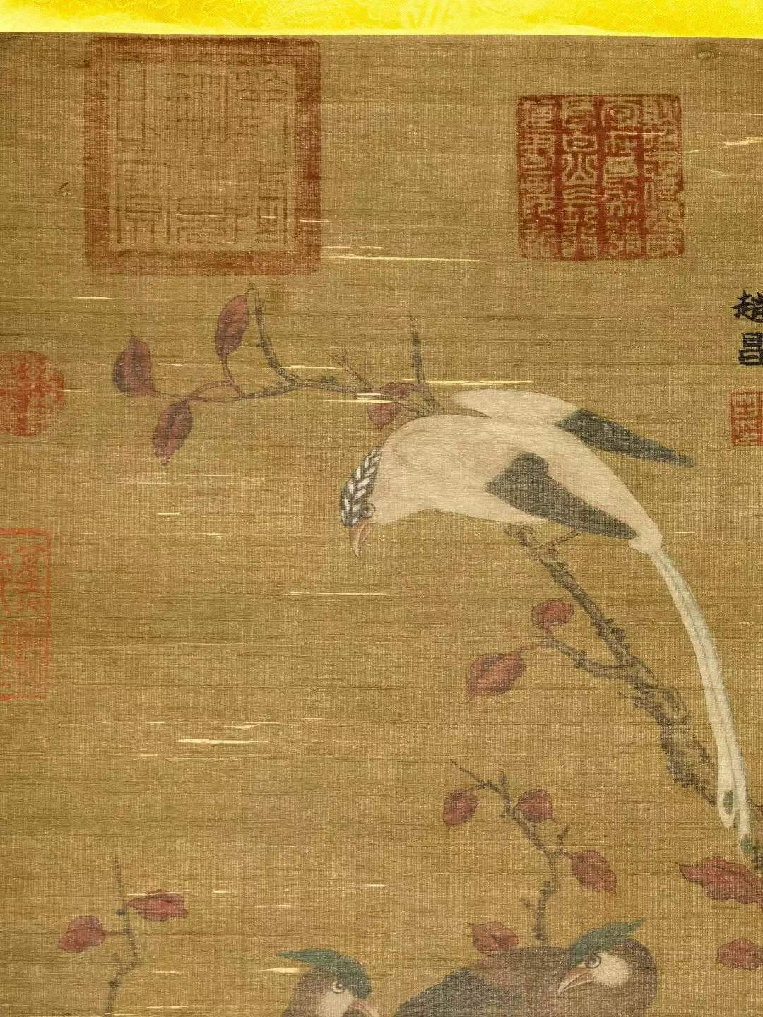 赵昌，生于970-1040年，字昌之，北宋画家，广汉剑南（今四川剑阁之南）人。在北宋时期与宋徽宗赵佶齐名，是宋代花鸟画坛的杰出画家。