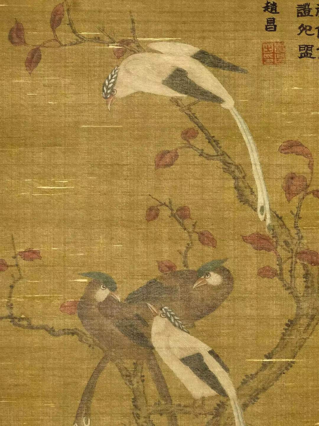 赵昌，生于970-1040年，字昌之，北宋画家，广汉剑南（今四川剑阁之南）人。在北宋时期与宋徽宗赵佶齐名，是宋代花鸟画坛的杰出画家。