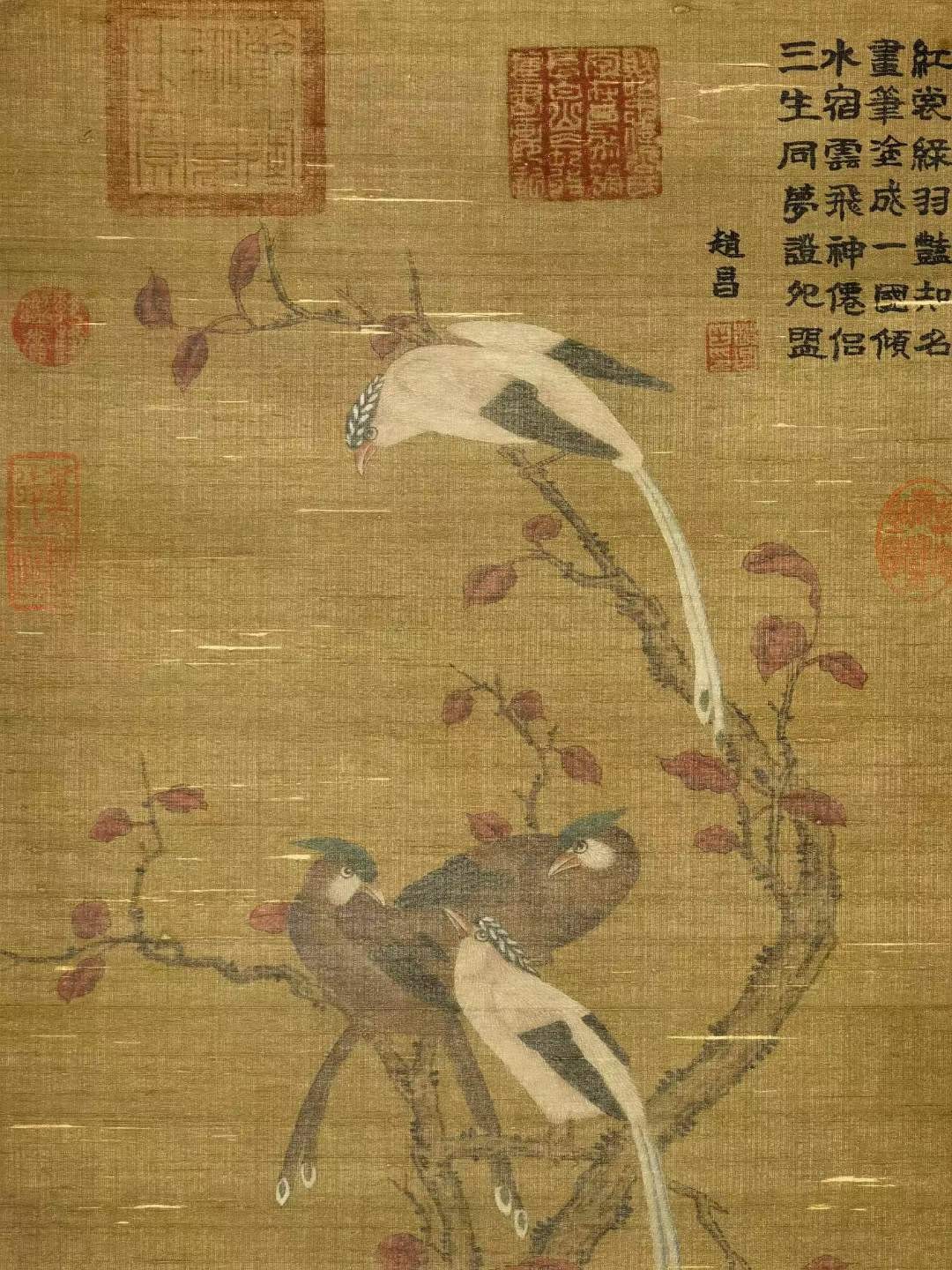 赵昌，生于970-1040年，字昌之，北宋画家，广汉剑南（今四川剑阁之南）人。在北宋时期与宋徽宗赵佶齐名，是宋代花鸟画坛的杰出画家。
