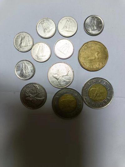 【20230616】非全新外国硬币第一场 - 加拿大硬币