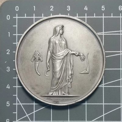🌸奇货可居🌸 第九十八场 法国章牌专场 【相约九八】 - 农业部门银章