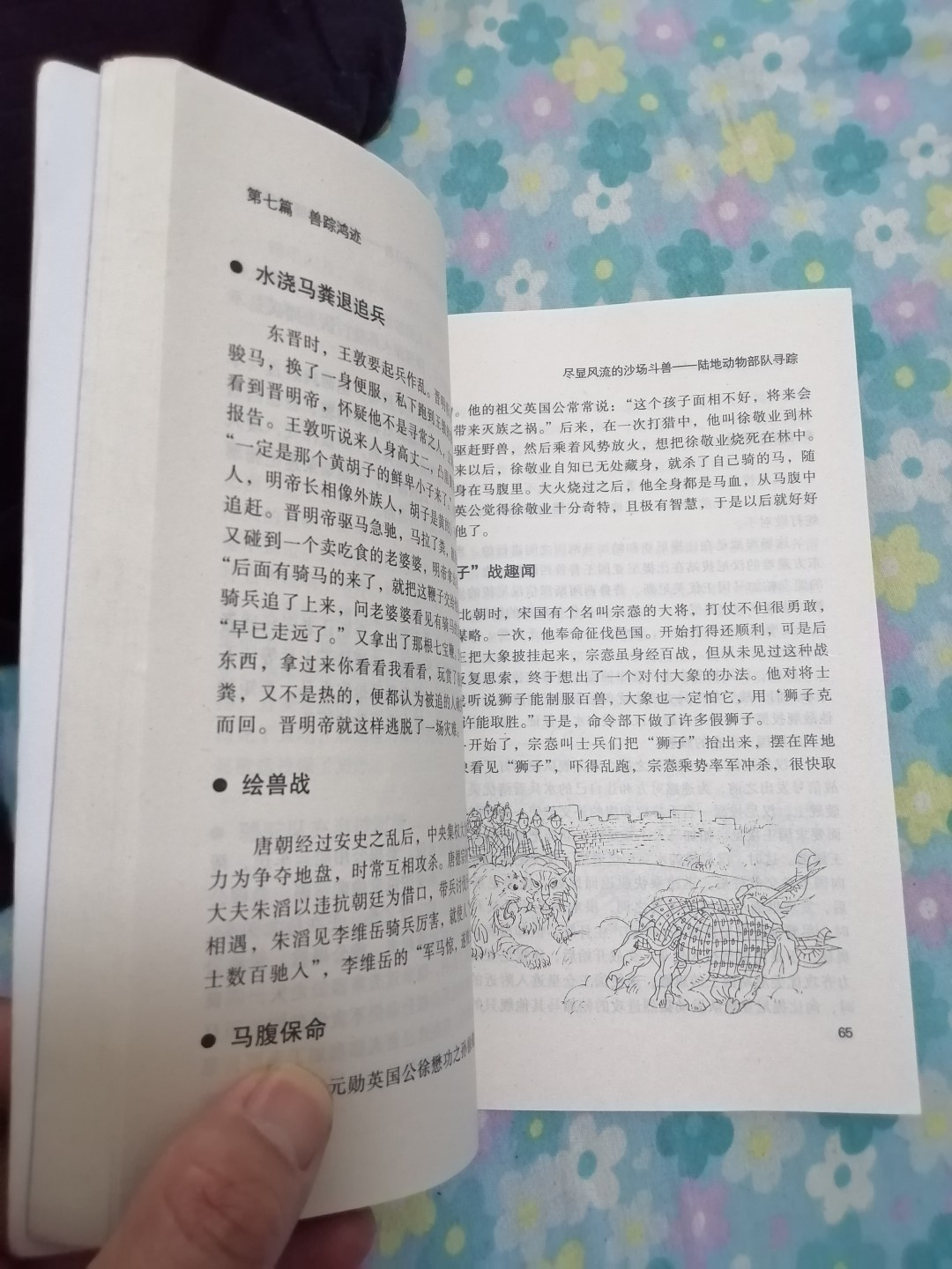 《趣味军事大观》