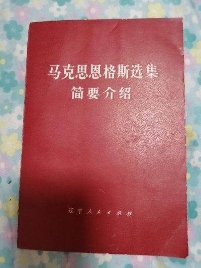 马克思恩格斯选集简要介绍 - 马克思恩格斯选集简要介绍