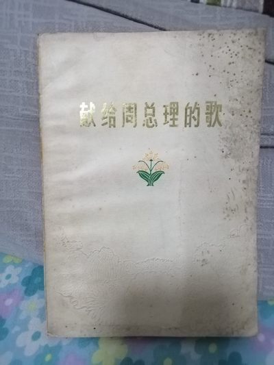 献给周总理的歌 - 献给周总理的歌