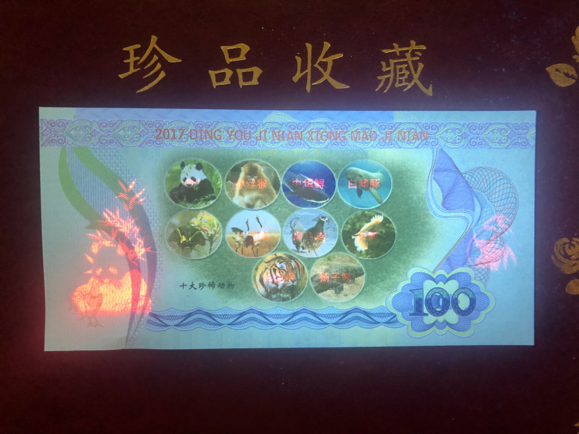 北极狼藏苑社（68）精品专场 98297-中国一级珍稀动物·大熊猫测试钞