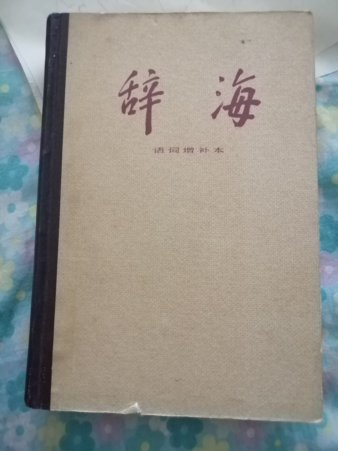 《辞海》词语增补本