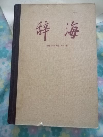 《辞海》词语增补本 - 《辞海》词语增补本