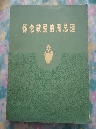 怀念敬爱的周总理 - 怀念敬爱的周总理