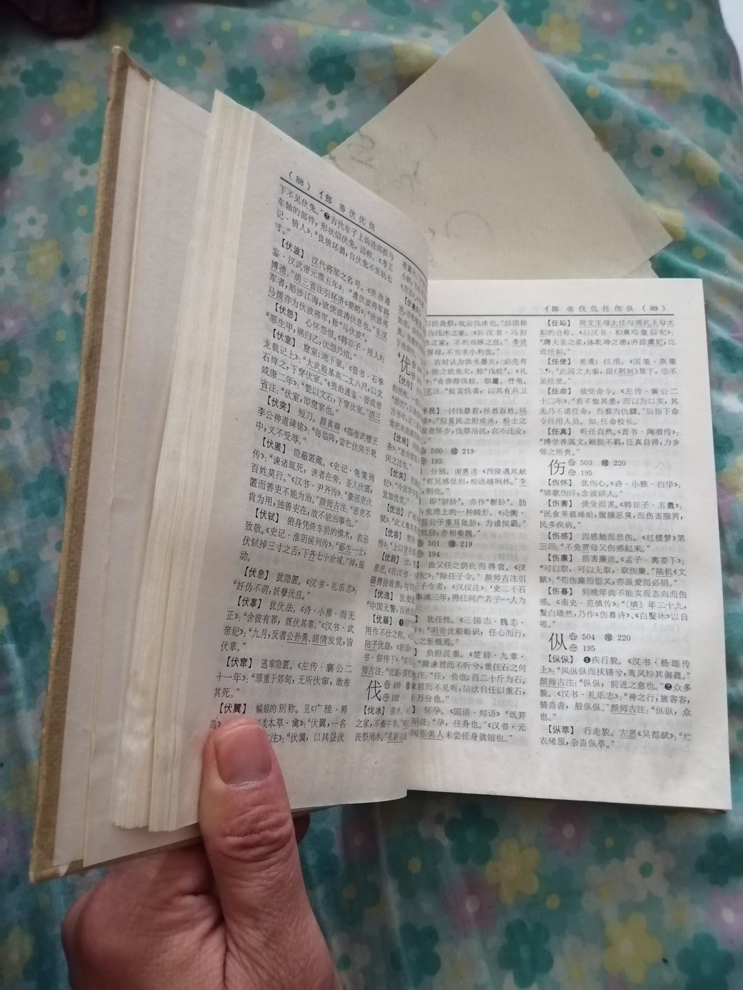 《辞海》词语增补本