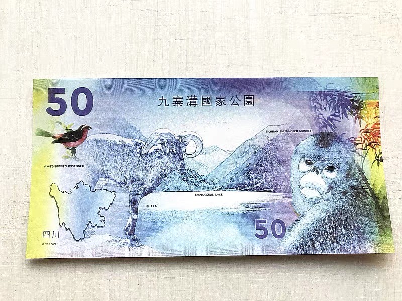 北极狼藏苑社一一（测试钞放漏福利专场） 98329-四川九寨沟国家公园测试券国宝大熊猫纪念票券