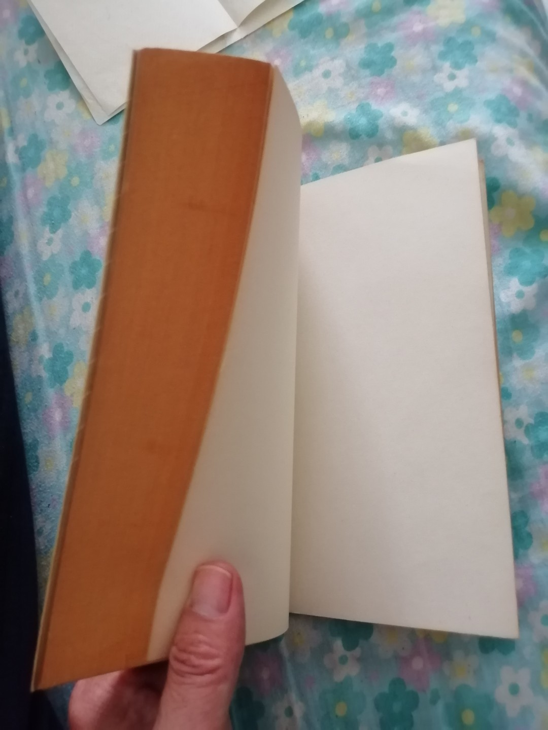 陕西概况