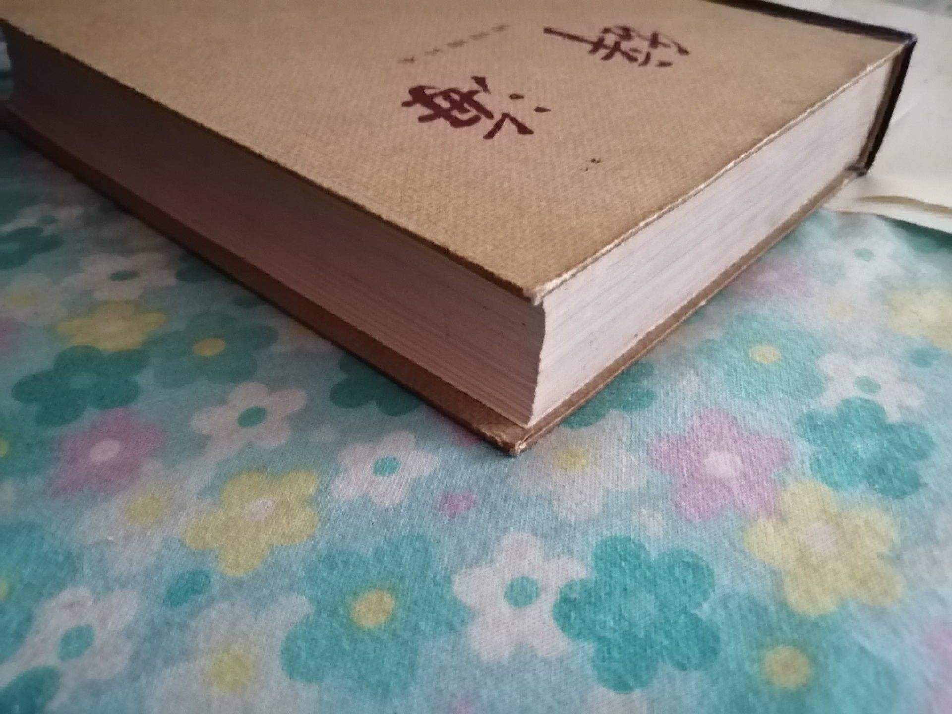 《辞海》词语增补本