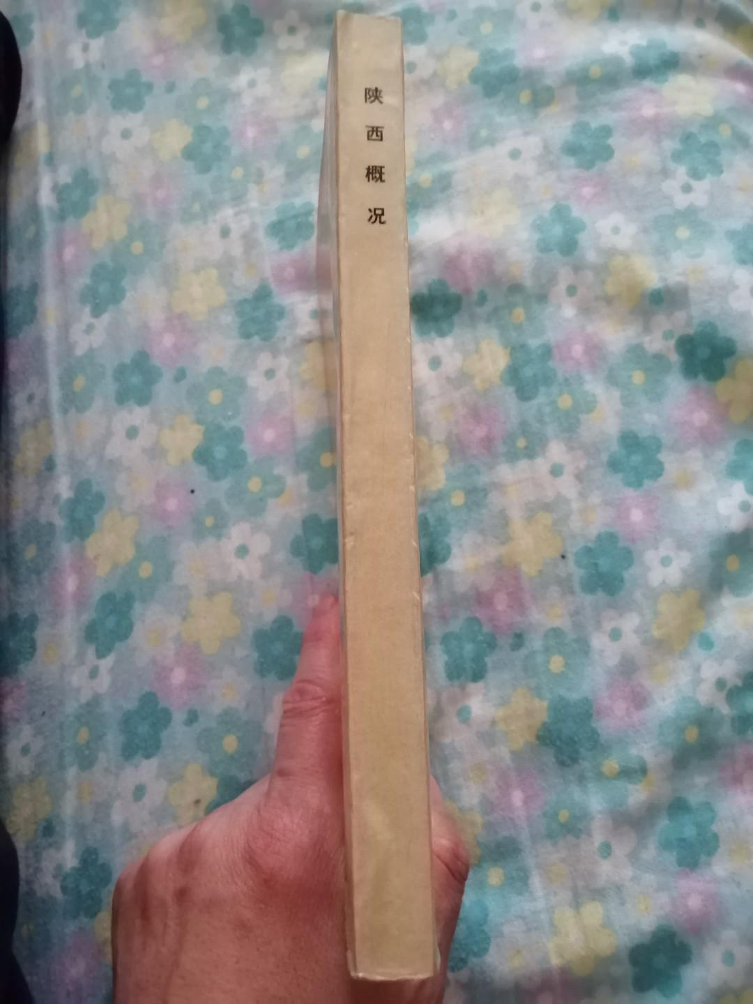 陕西概况