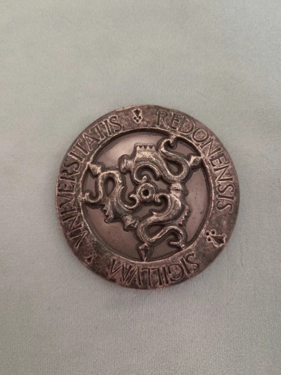 圣牌，代币，章牌专场十四期 法国雷恩大学校徽银章，单面章，63mm，150g