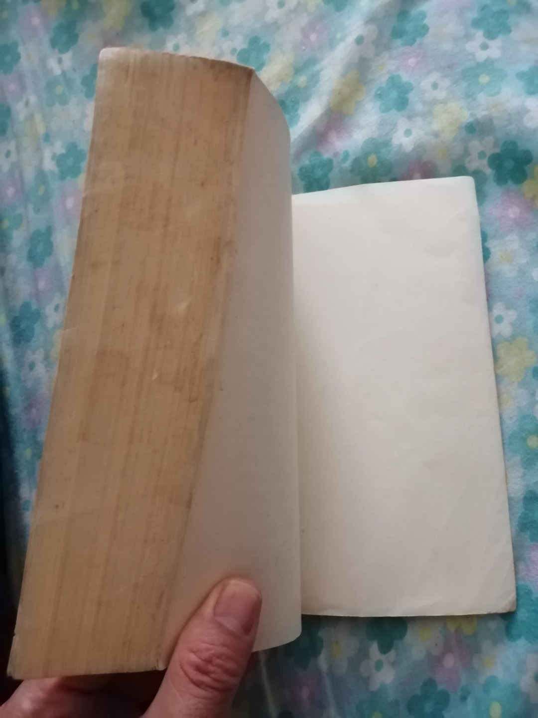 怀念敬爱的周总理