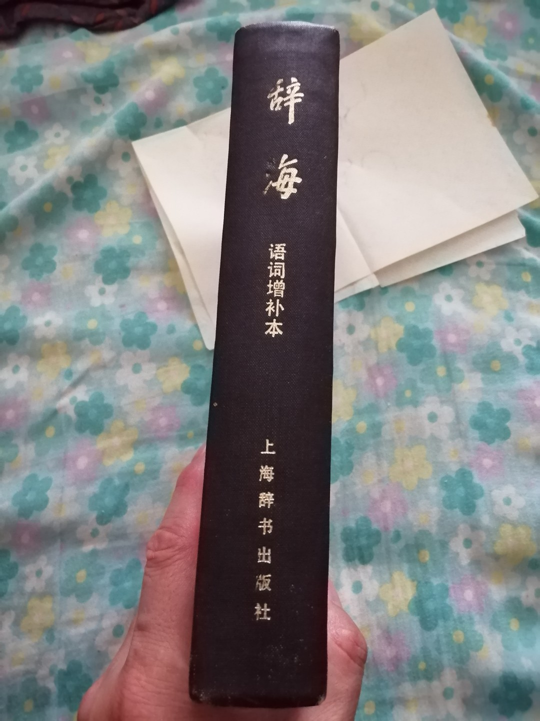 《辞海》词语增补本