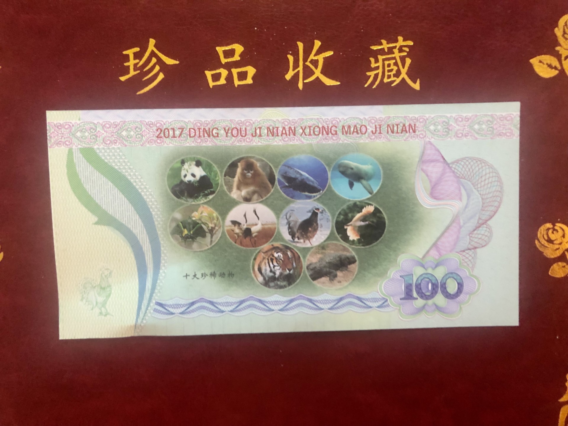 北极狼藏苑社（68）精品专场 98297-中国一级珍稀动物·大熊猫测试钞