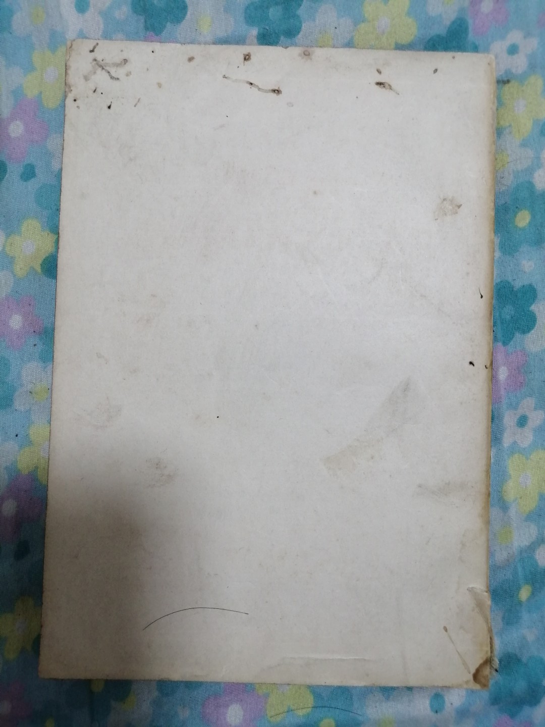 唯物主义和经验批判主义