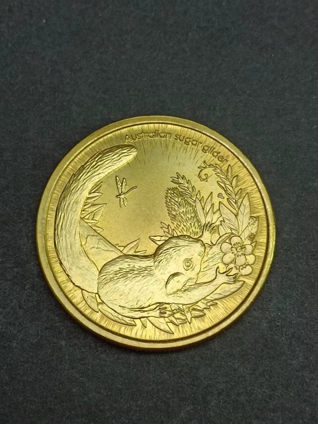 【8个洞收藏】第20场★0押0起一件包邮★老鹰 啮齿类 兔兔等混合动物专场 2011年澳大利亚1澳元 袋鼠科 袋鼯科 袋鼯宝宝 动物币 单枚 长得像松鼠 但实际是袋鼠的近亲 很有趣的一个动物币 盒装拆出