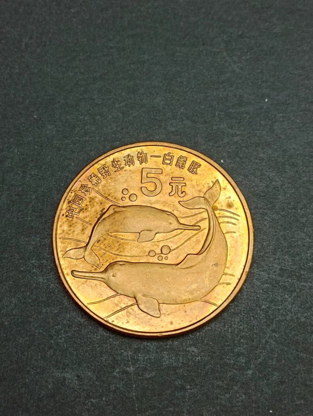 【8个洞收藏】第20场★0押0起一件包邮★老鹰 啮齿类 兔兔等混合动物专场 1996年 中国 齿鲸亚目 海豚科 白鳍豚 5元动物币