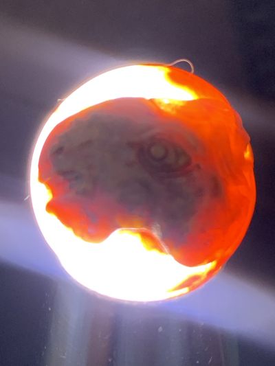 精美亚光冰飘战国红玛瑙手工雕刻马上有钱随形珠一颗！ 精美亚光冰飘战国红玛瑙手工雕刻马上有钱随形珠一颗！