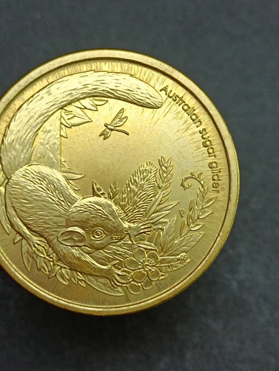 【8个洞收藏】第20场★0押0起一件包邮★老鹰 啮齿类 兔兔等混合动物专场 2011年澳大利亚1澳元 袋鼠科 袋鼯科 袋鼯宝宝 动物币 单枚 长得像松鼠 但实际是袋鼠的近亲 很有趣的一个动物币 盒装拆出