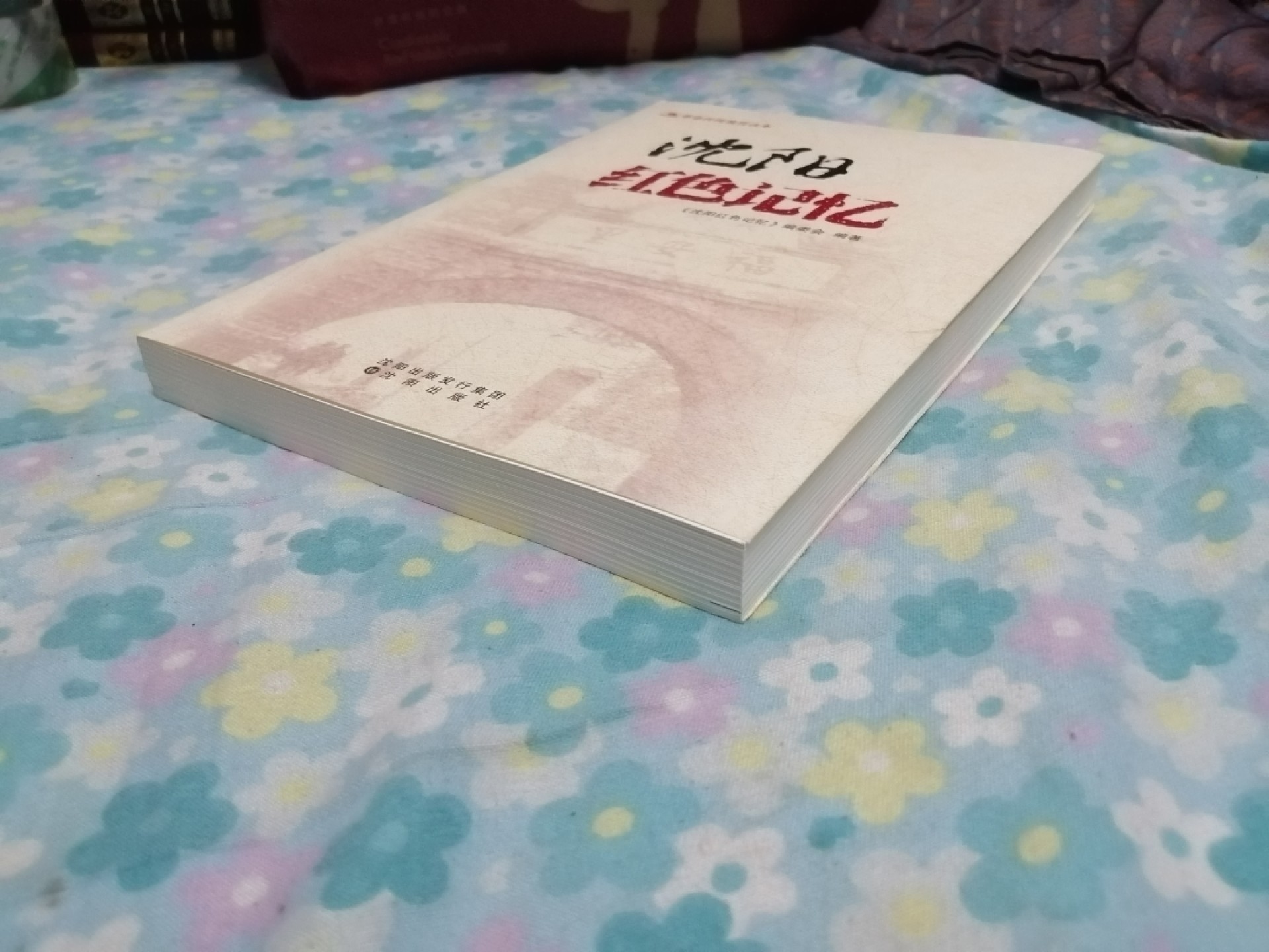 沈阳红色记忆