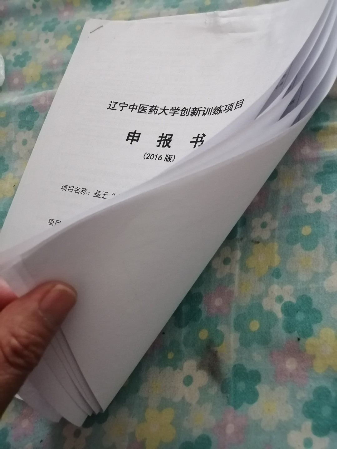 辽宁中医药大学创新训练项目申报书