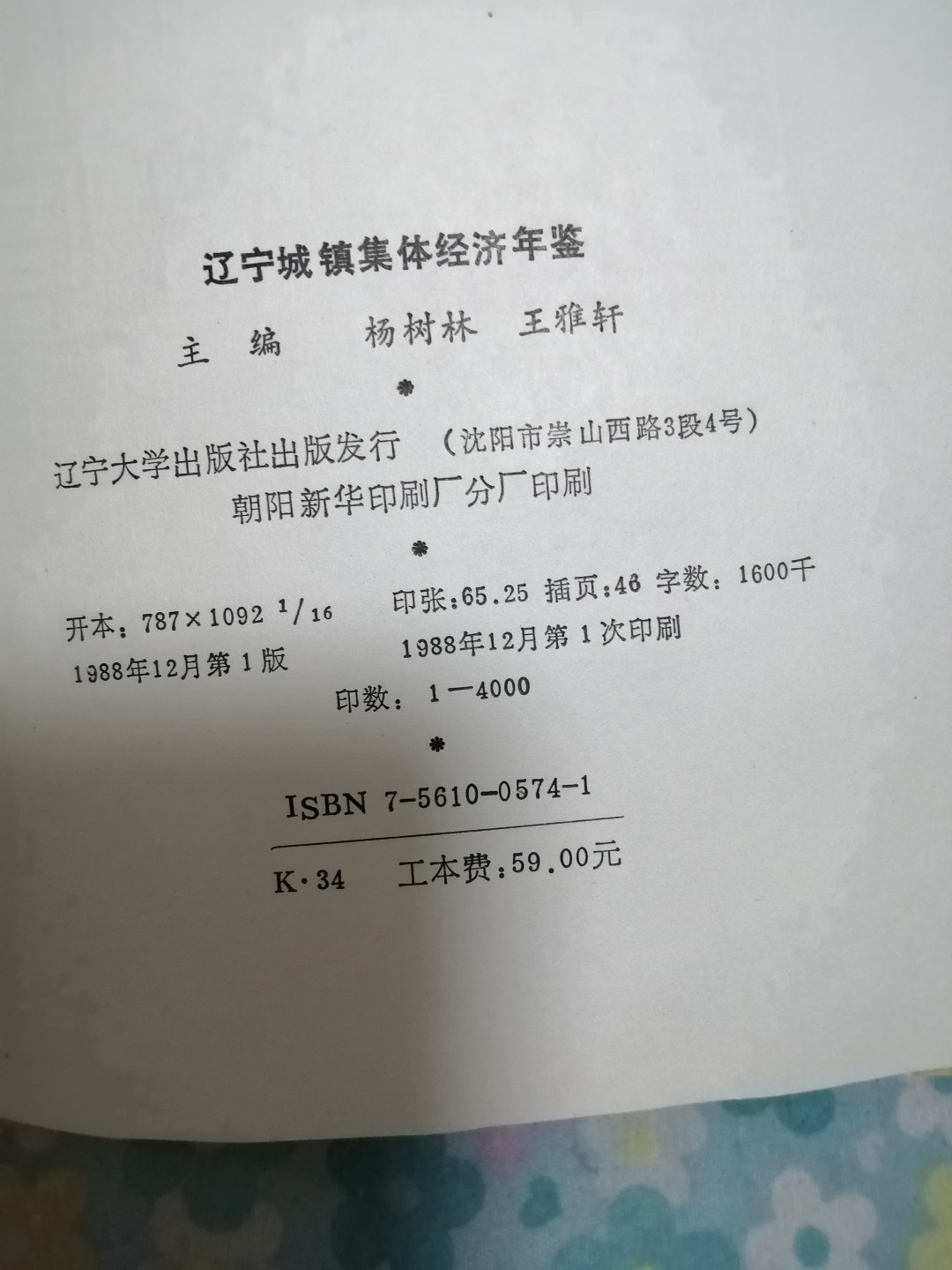 辽宁城镇集体经济年鉴