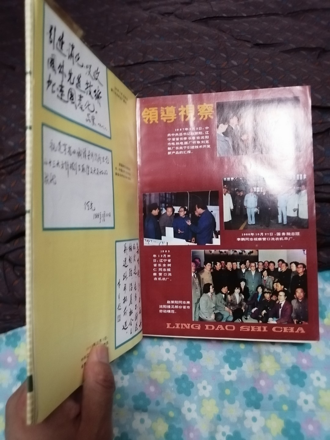 辽宁城镇集体经济年鉴