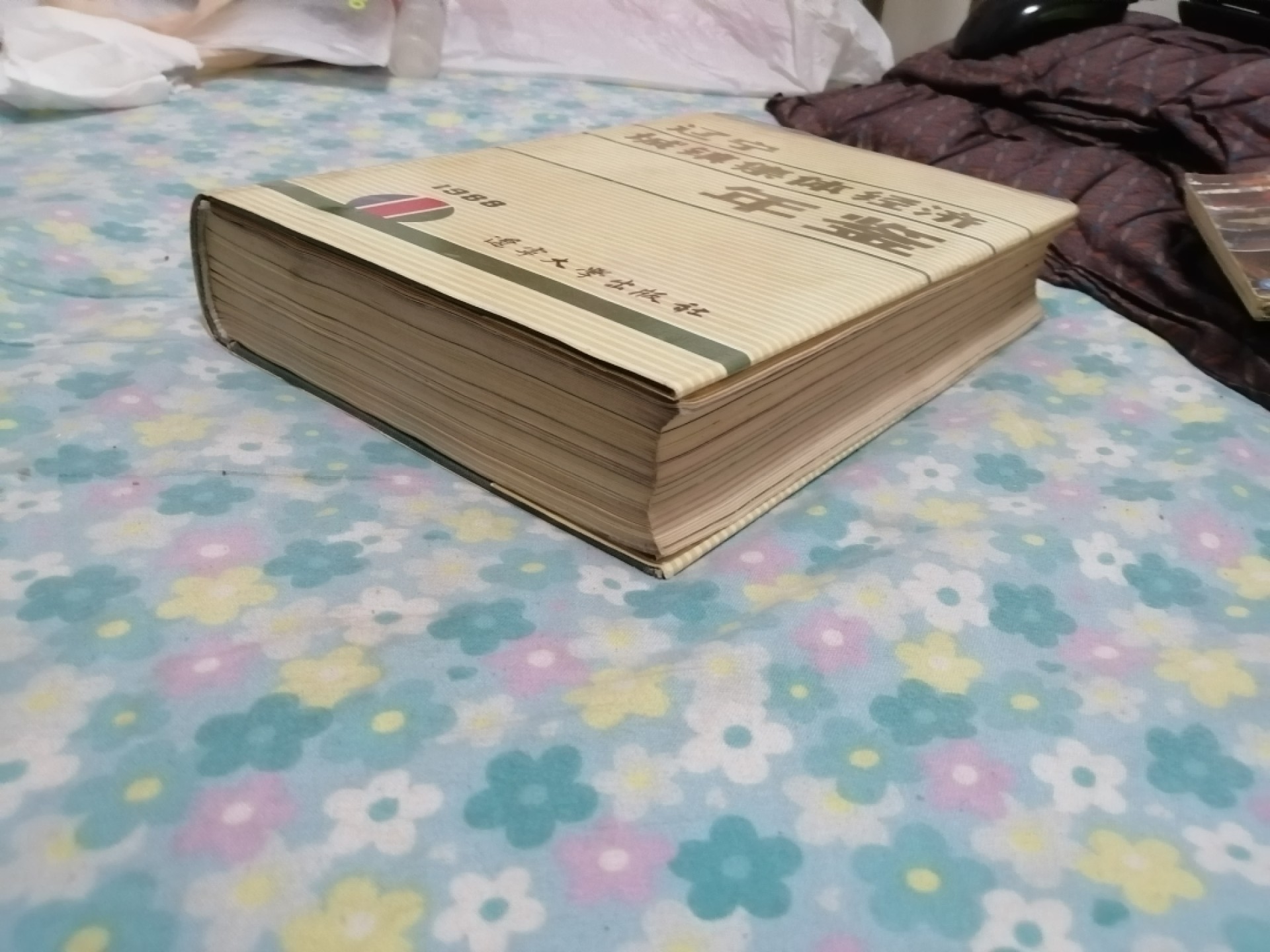 辽宁城镇集体经济年鉴