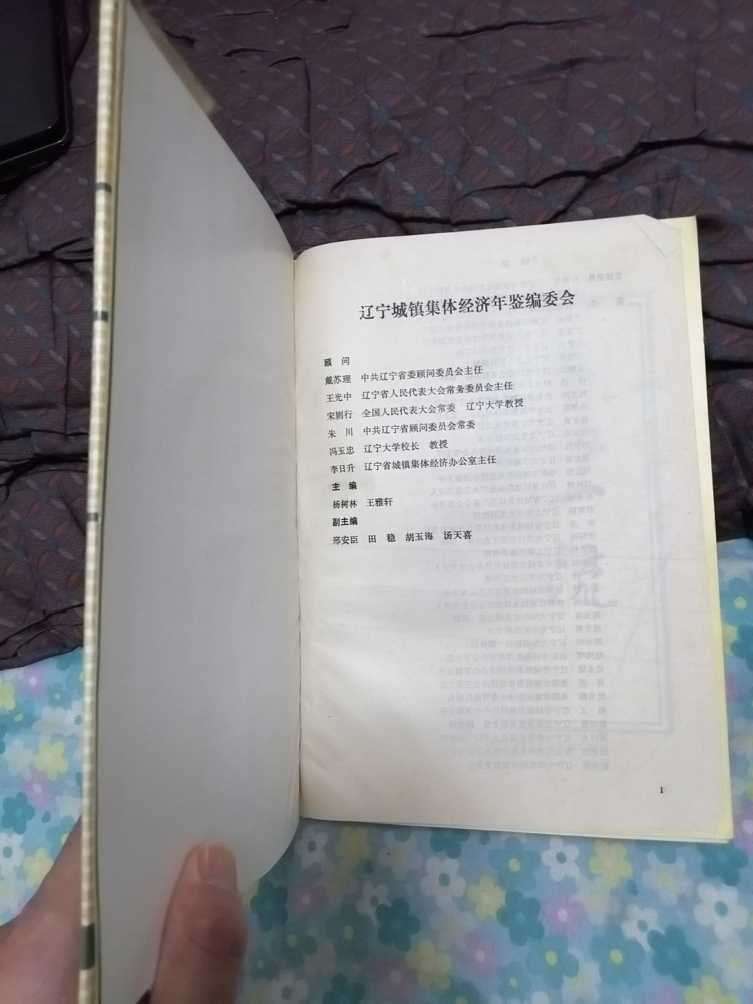 辽宁城镇集体经济年鉴