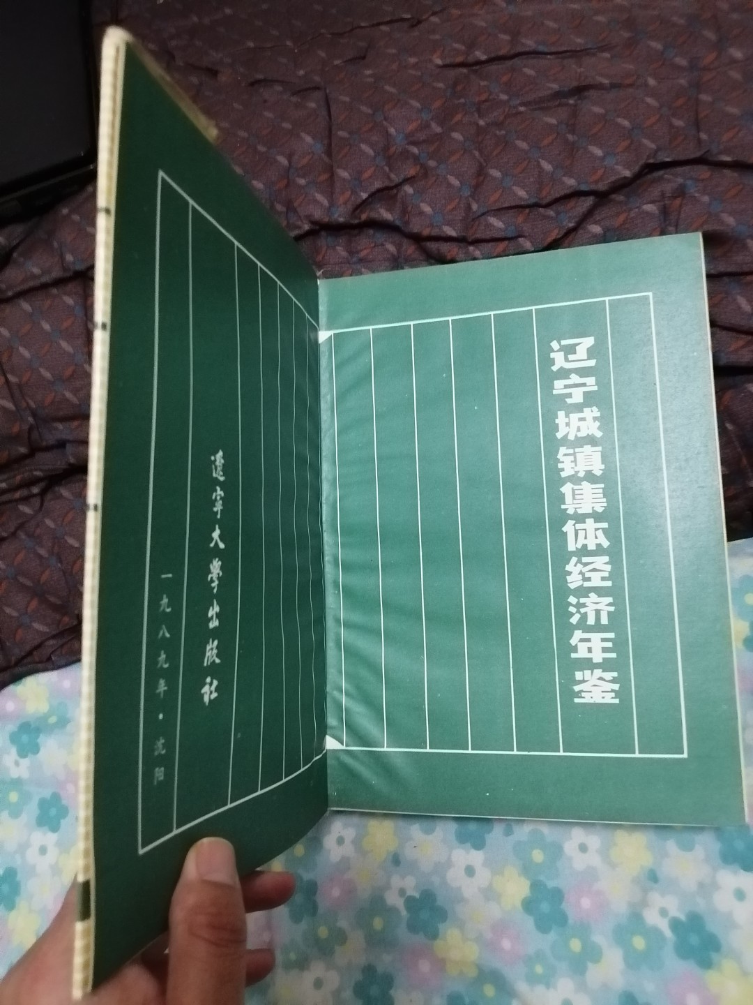 辽宁城镇集体经济年鉴