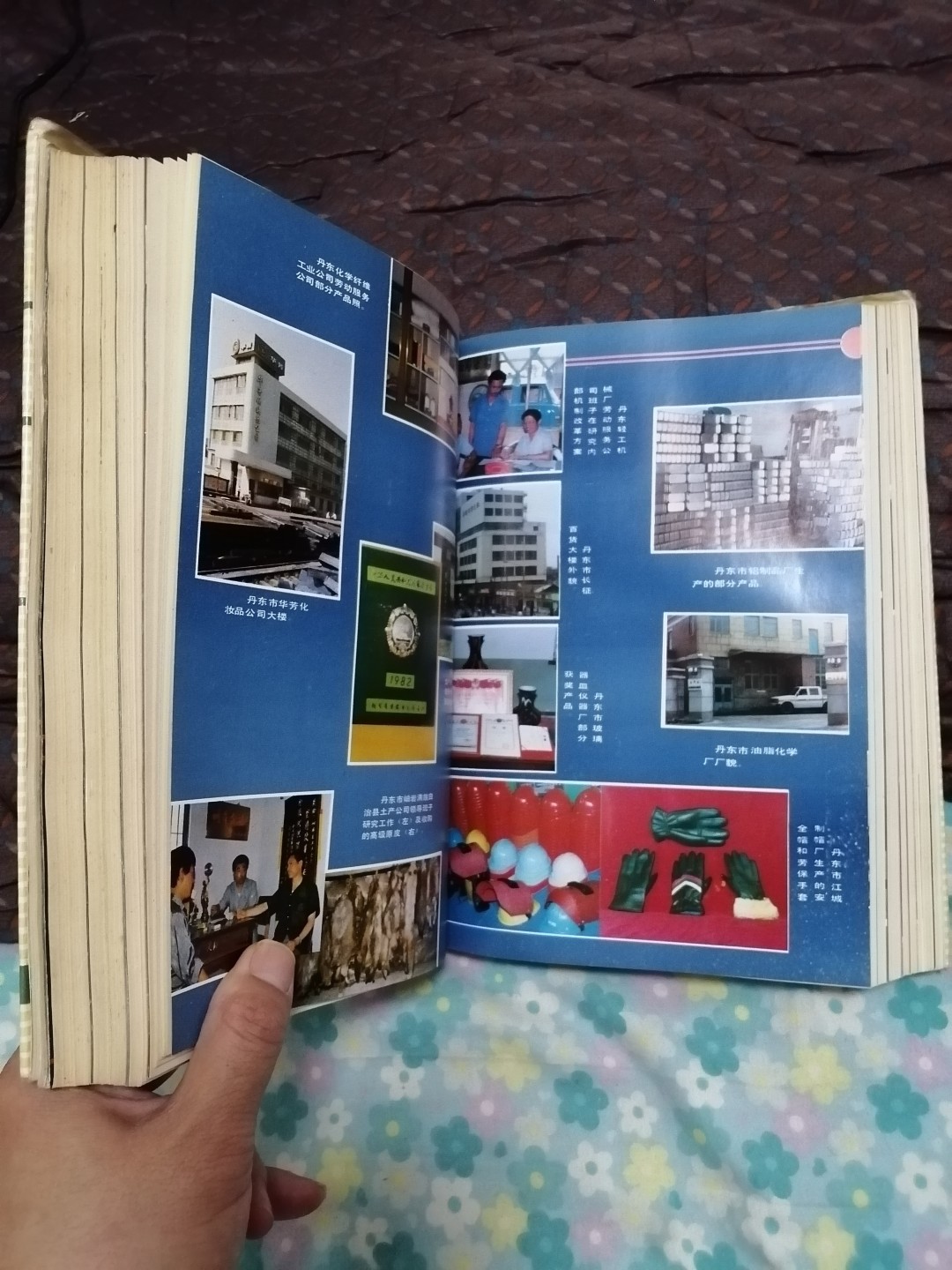 辽宁城镇集体经济年鉴