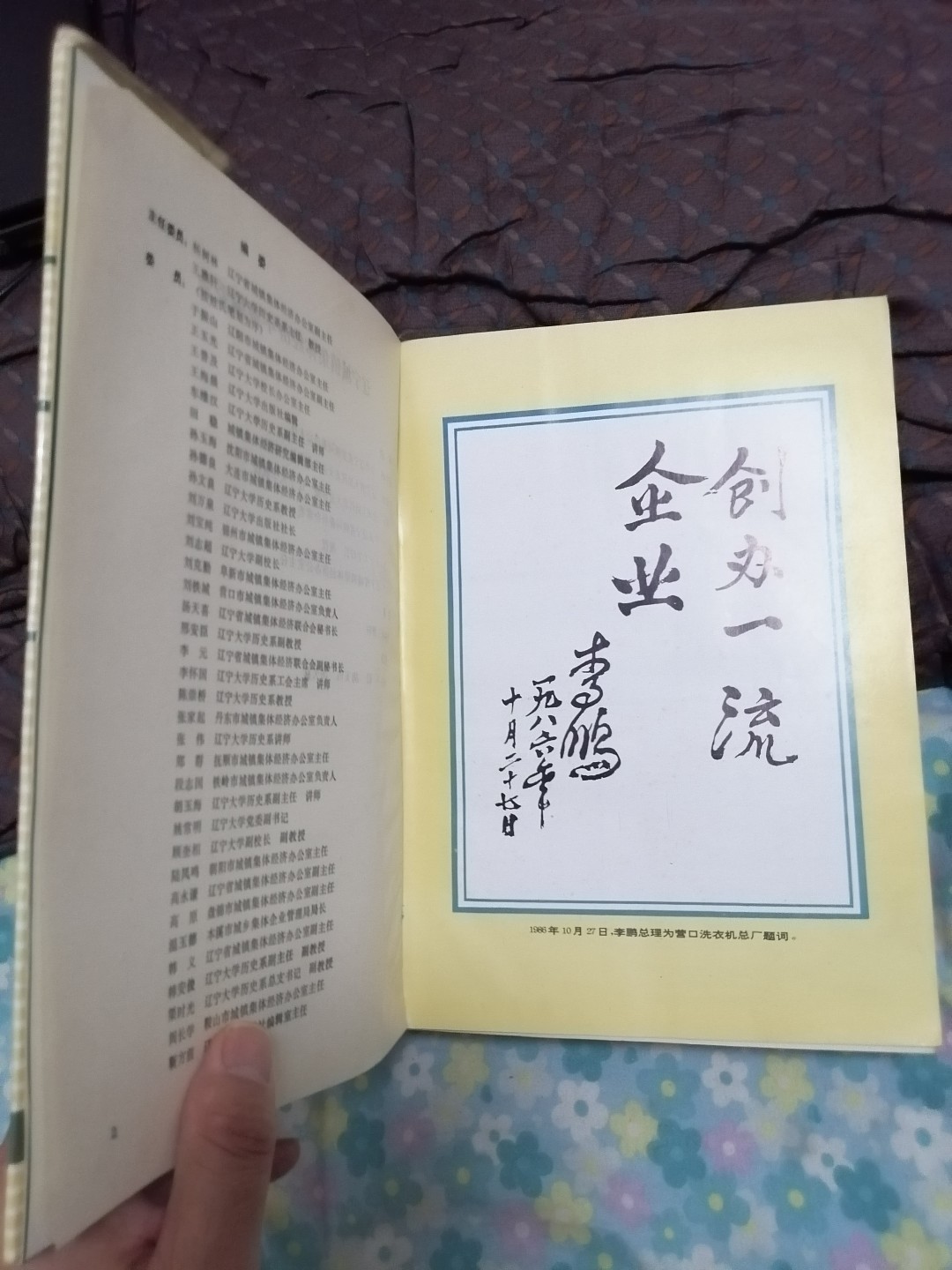 辽宁城镇集体经济年鉴