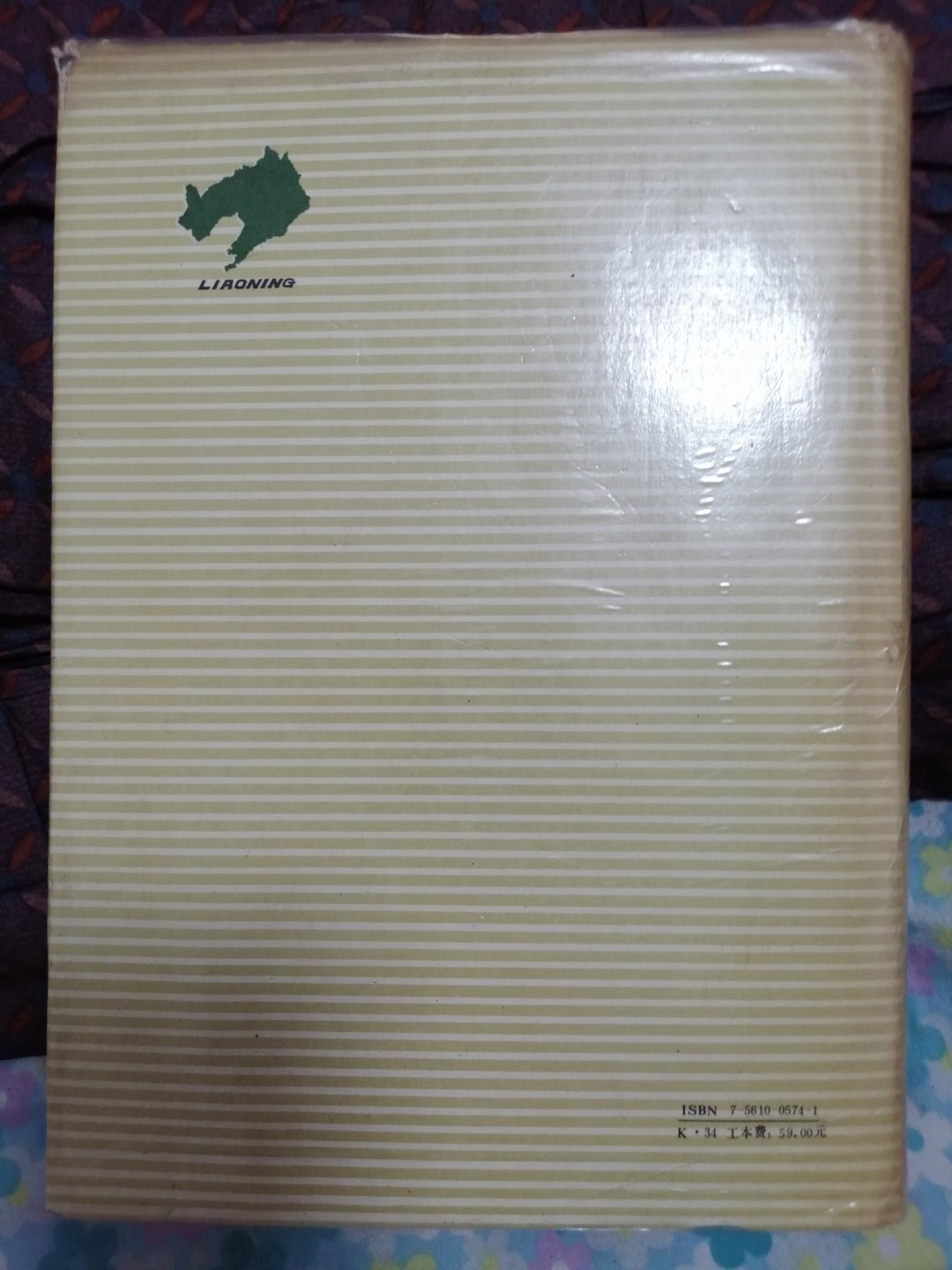 辽宁城镇集体经济年鉴