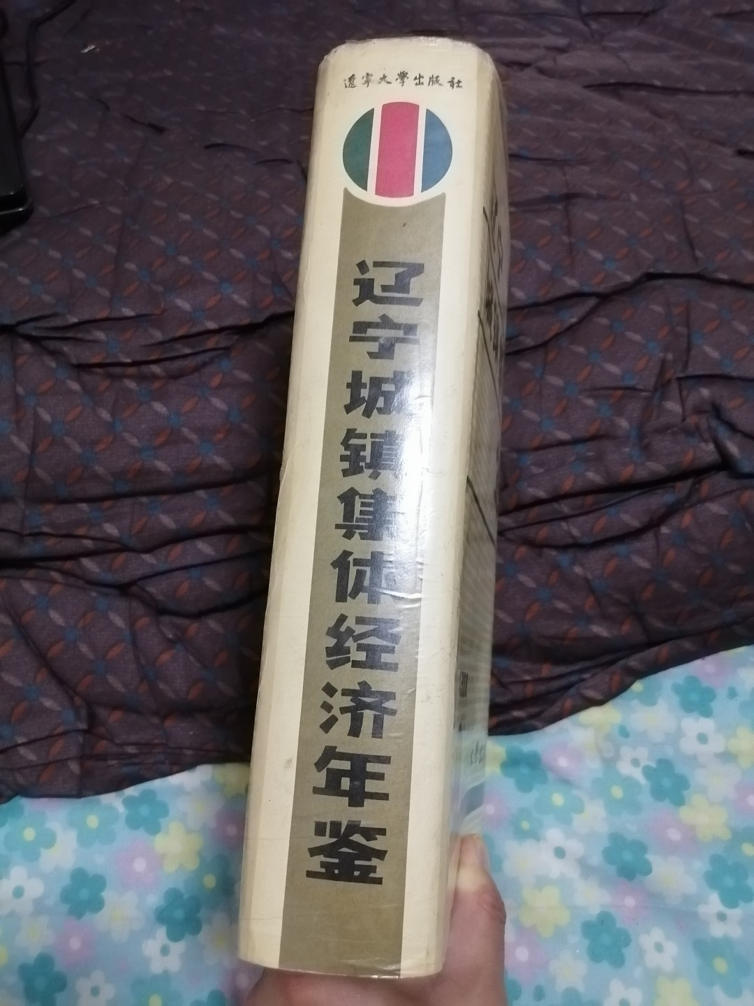 辽宁城镇集体经济年鉴