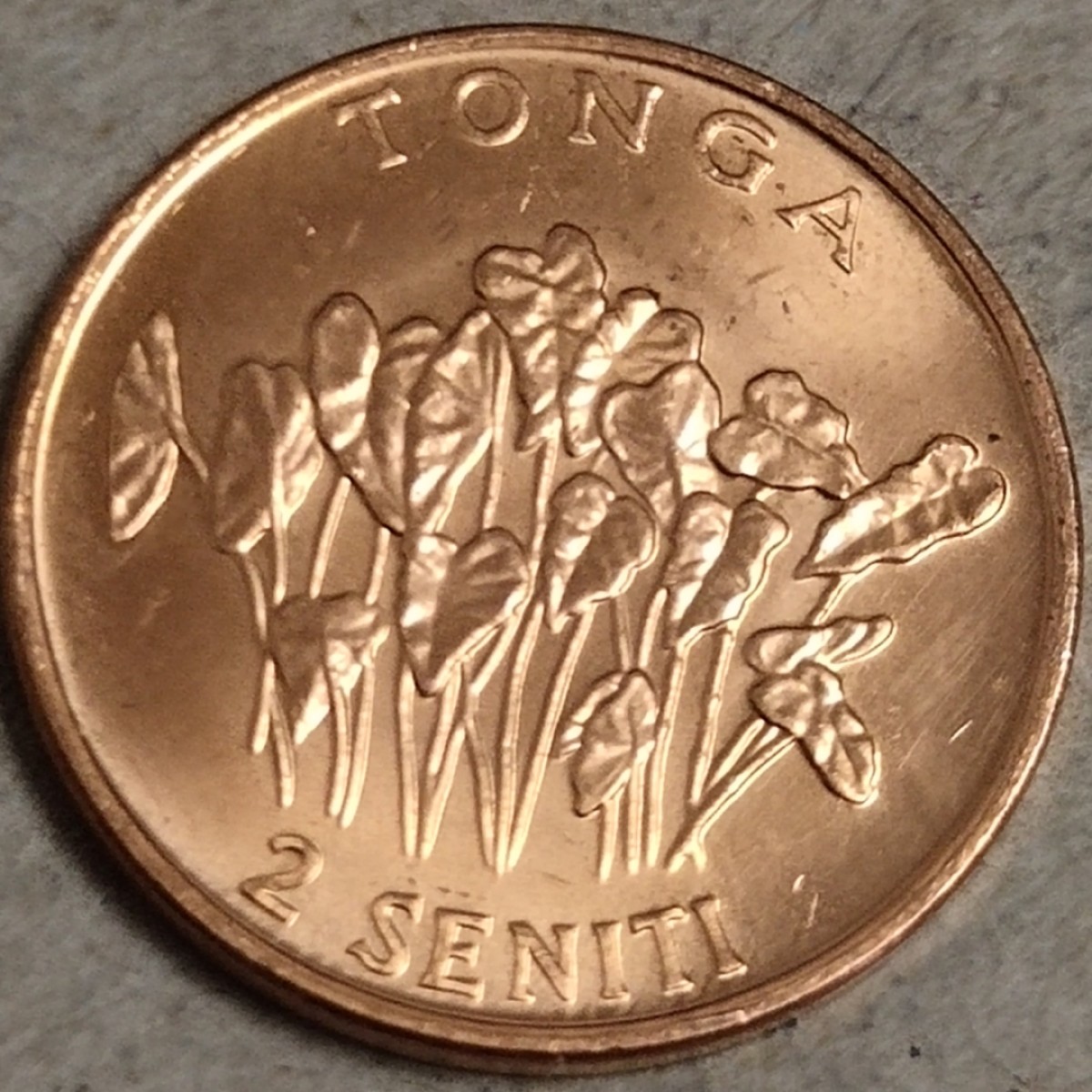 6月23晚8★机器委托10秒自动落锤★请提前出好价★满30快递包邮