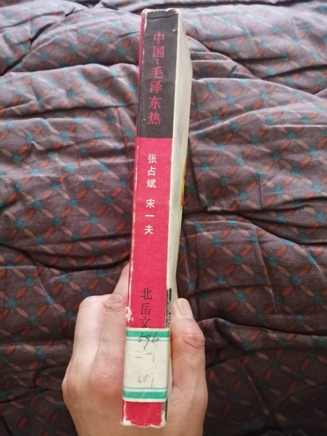 中国毛泽东热