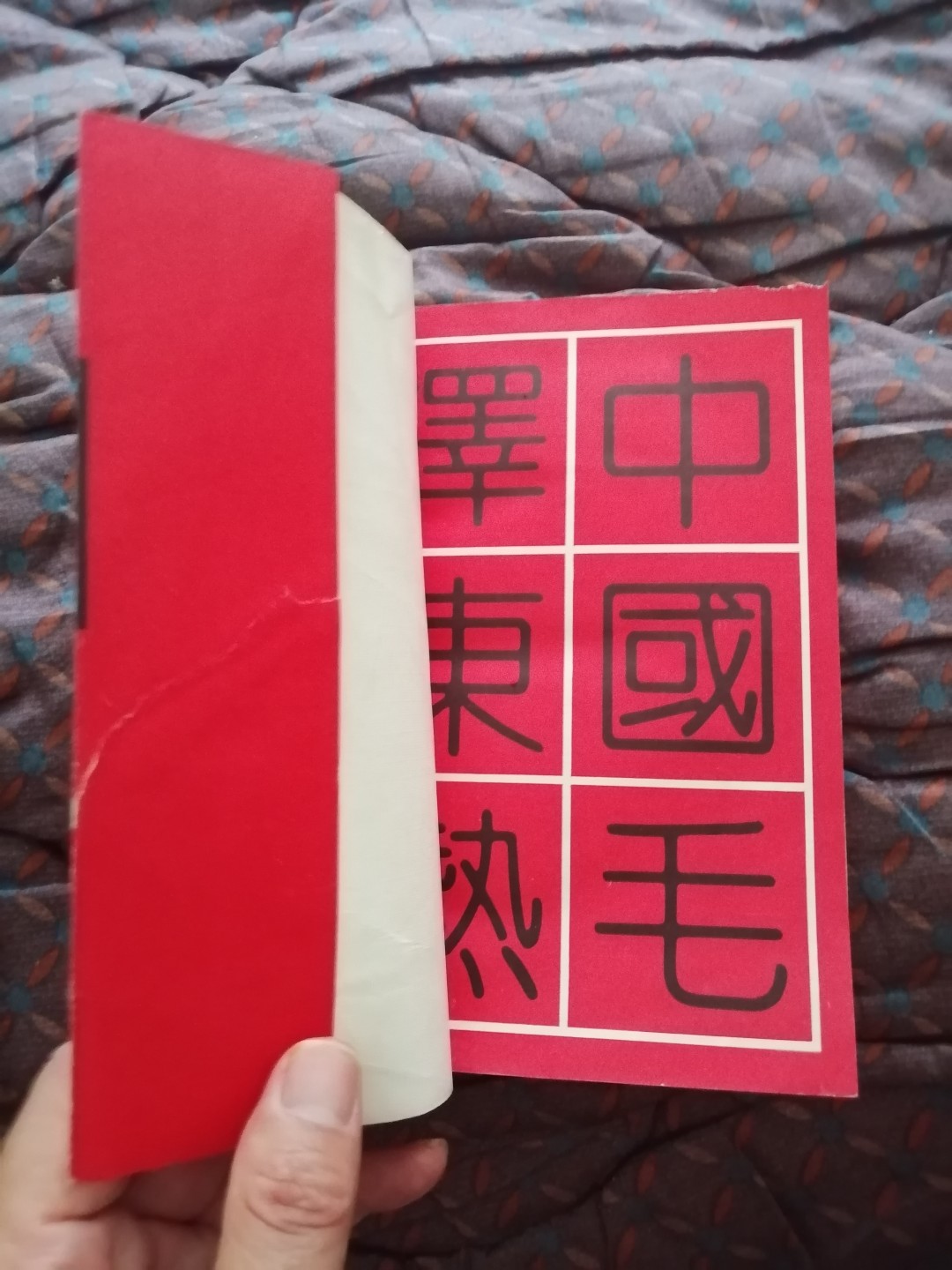 中国毛泽东热