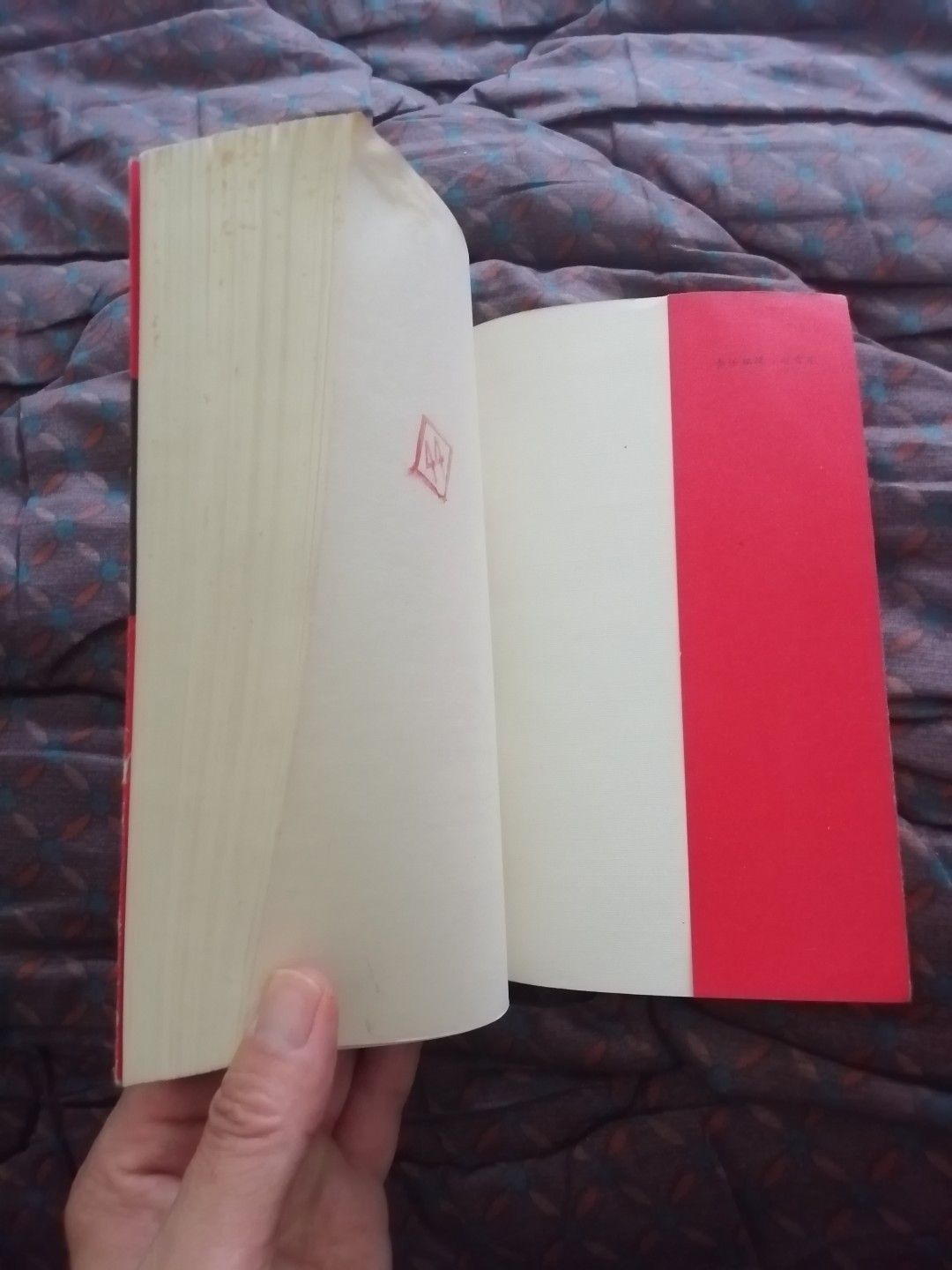 中国毛泽东热