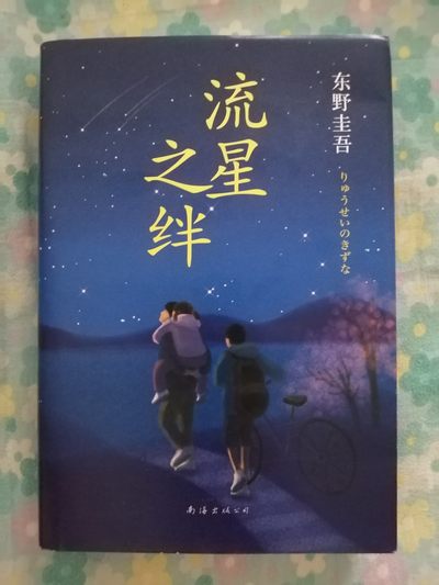 流星之绊（东野圭吾） - 流星之绊（东野圭吾）